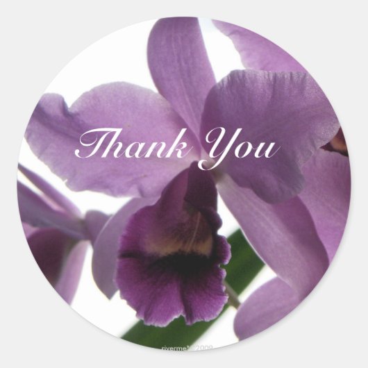 Orchidee 1 Dank-u / Stickers (Voorkant)