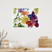 orchidee-40 poster (Keuken)