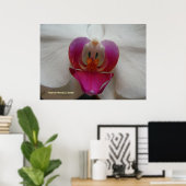 Orchidee aangezicht poster (Thuiskantoor)