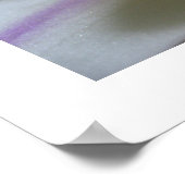 Orchidée blanche 8 Phalaenopsis Poster Imprimer (Coin)