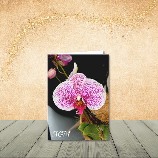 Orchidée blanche avec Speckies roses, cartes de no