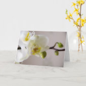 Orchidée blanche • Carte de voeux (Fleur jaune)