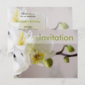 Orchidée blanche ・ Carte postale Invitation fête (Devant / Derrière)