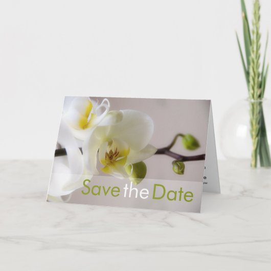 Orchidée blanche Enregistrer la carte de date (Devant)