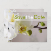 Orchidée blanche ・ Enregistrer la carte postale Da (Devant / Derrière)