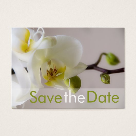 Orchidée blanche ・ Enregistrer la Mini carte Date (Devant)