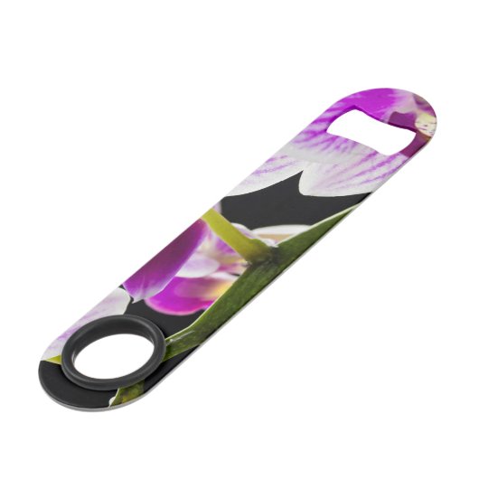 Orchidée blanche et violette (Dos Angle)