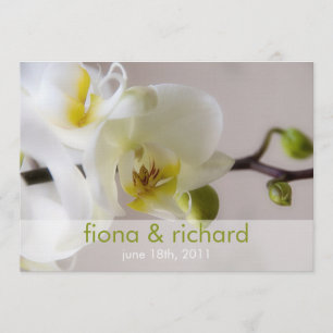 Orchidée blanche • Faire-part de mariage