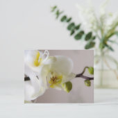 Orchidée blanche ・ Faire-part de mariage RSVP (Debout devant)