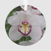 Orchidée blanche II Élégante florale (dos)
