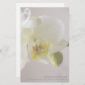 Orchidée blanche • Papeterie personnelle (Devant / Derrière)