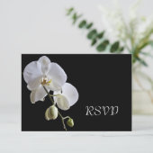 Orchidée blanche sur carte de réponse RSVP de mari (Debout devant)