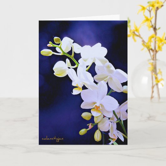 Orchidée blanche sur la carte d'anniversaire de (Fleur jaune)