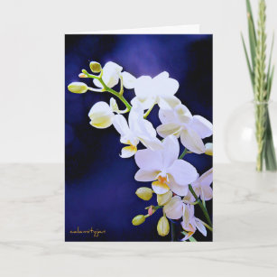 Cartes Orchidee D Anniversaire Zazzle Be