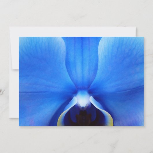Orchidée Bleue Serez-Vous Mon Invitation D'Épouse (Dos)