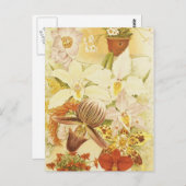  orchidee bloem Antiek bloesem Briefkaart (Voorkant / Achterkant)