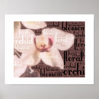 Orchidee Bloem Bloesem Woordwolk