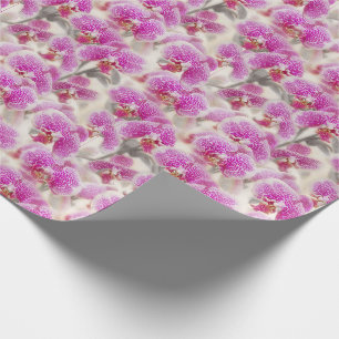 Orchidee Bloemen Roze Bloemen Cadeaupapier