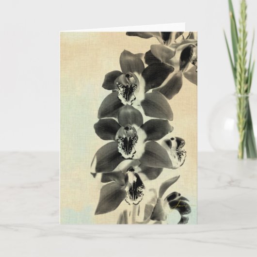 Orchidee Blush Panels IV Kaart (Voorkant)