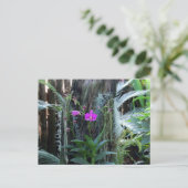 Orchidee Briefkaart (Staand voorkant)