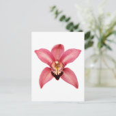 Orchidee Briefkaart (Staand voorkant)