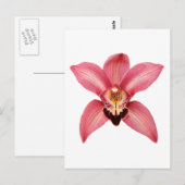 Orchidee Briefkaart (Voorkant / Achterkant)