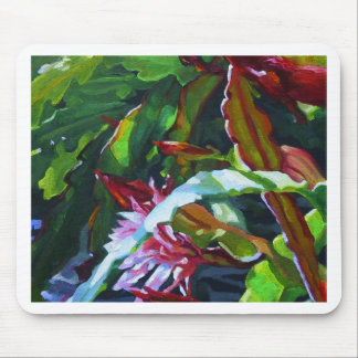 Orchidee cactus 3 muismat