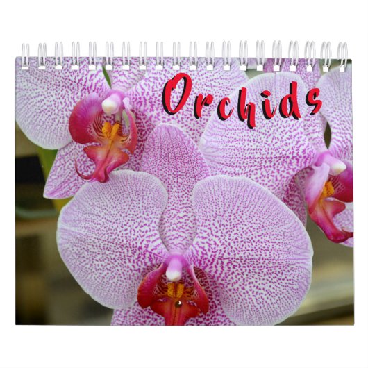 Orchidée calendrier de 12 mois (Protection)