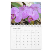 Orchidée calendrier de 12 mois (Jan 2027)
