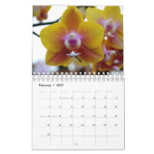 Orchidée calendrier de 12 mois (Feb 2027)