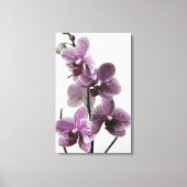 Orchidee Canvas Print (Voorkant)