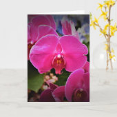 Orchidée, carte (Fleur jaune)