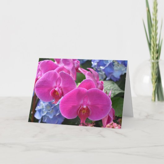 Orchidée, carte (Devant)