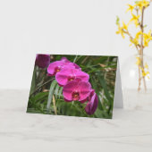 Orchidée, carte (Fleur jaune)