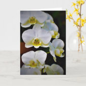 Orchidée, carte (Fleur jaune)