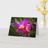 Orchidée, carte (Fleur jaune)