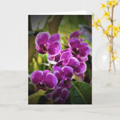 Orchidée, carte (Fleur jaune)