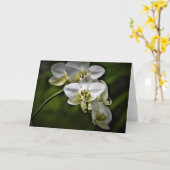 Orchidée, carte (Fleur jaune)
