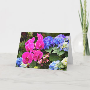 Orchidée, carte