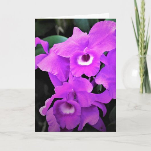 Orchidée, carte (Devant)