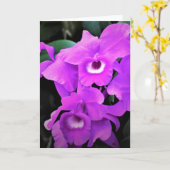 Orchidée, carte (Fleur jaune)