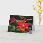 Orchidée, carte (Fleur jaune)