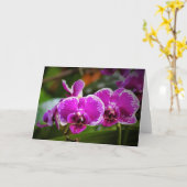 Orchidée, carte (Fleur jaune)