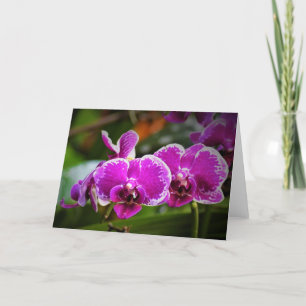 Orchidée, carte