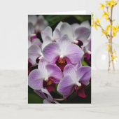 Orchidée, carte (Fleur jaune)