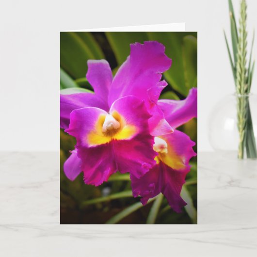 Orchidée, carte (Devant)