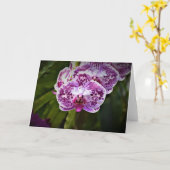 Orchidée, carte (Fleur jaune)