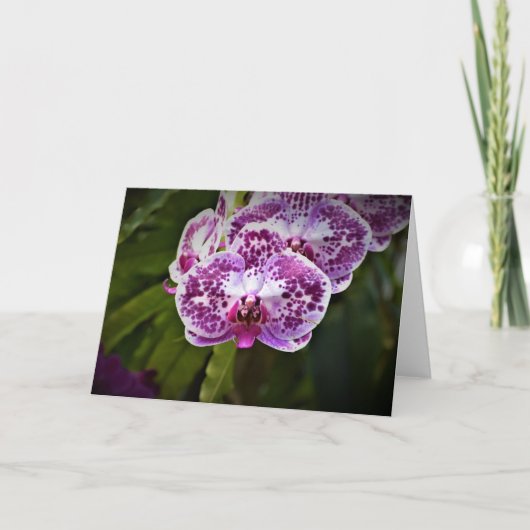 Orchidée, carte (Devant)