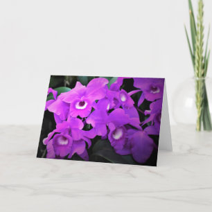 Orchidée, carte