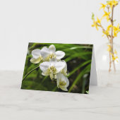 Orchidée, carte (Fleur jaune)